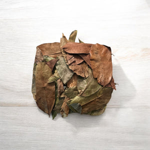 Soursop Leaves