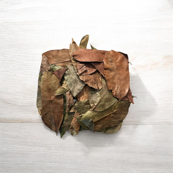 Soursop Leaves
