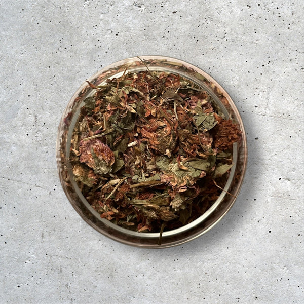 Red Clovers