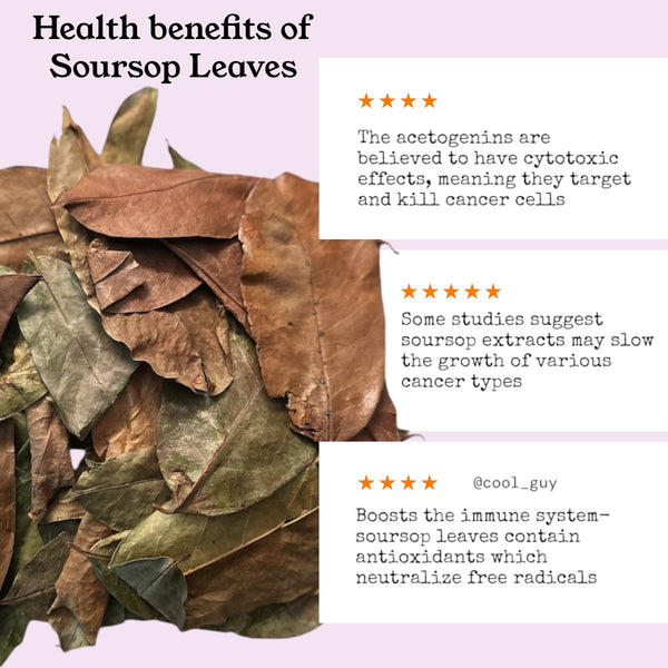 Soursop Leaves