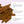 Cinnamon Sticks 2 3/4